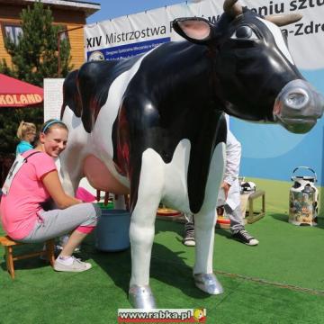 Mistrzostwa Polski w dojeniu sztucznej krowy
