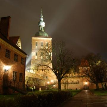 Dzwonnica - Wieża Radziejowskiego