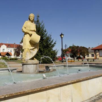 Rynek