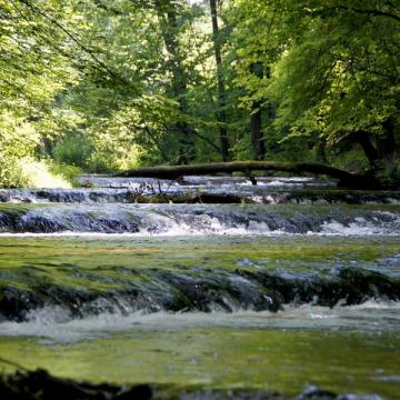 Rezerwaty "Nad Tanwią" i "Czartowe Pole"