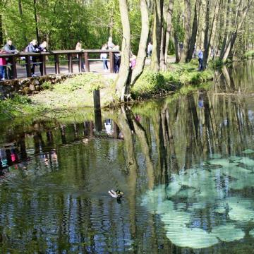 Rezerwat Niebieskie Źródła