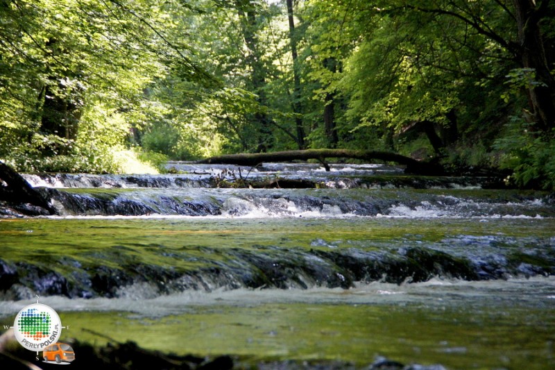 Rezerwat Nad Tanwią