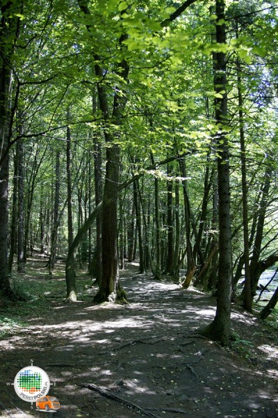 Rezerwat Nad Tanwią