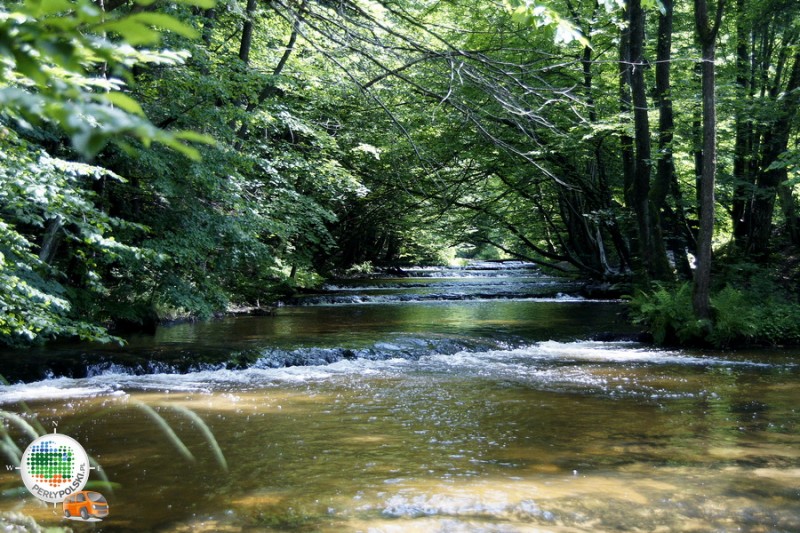 Rezerwat Nad Tanwią